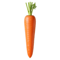 Single Orange Carrot with Green Top.