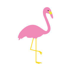 Toucan – Tropical Bird Illustration (Transparent PNG Clipart)