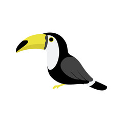 Toucan – Tropical Bird Illustration (Transparent PNG Clipart)