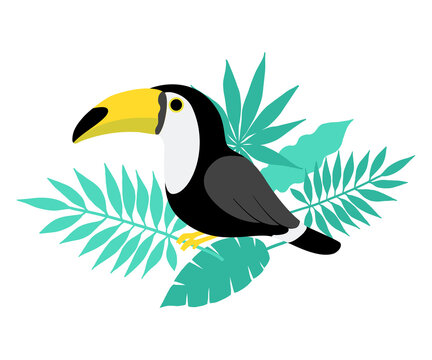 南国の鳥 Images – Browse 53 Stock Photos, Vectors, and Video