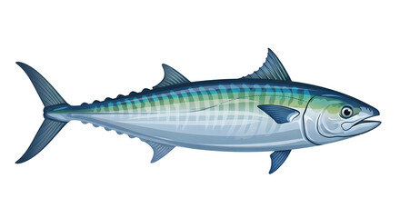 Atlantic Spanish Mackerel Illustration Isolated on White Background Fish Sea Ocean