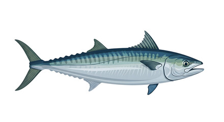 Atlantic Mackerel Fish Illustration Isolated on White Background, Seafood