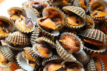ripe fresh cockle on plate, delicious food in restaurant