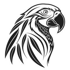Fototapeta premium A black and white vector illustration shows the detailed head of a tropical parrot