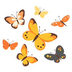 Butterfly art illustration insect vector
