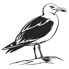 Fototapeta premium A majestic seagull stands proudly on a rocky outcrop gazing out towards the vast