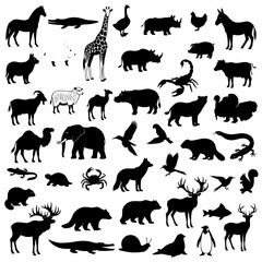 set of animals vector silhouettes icon, a collection of diverse animal silhouettes against a white background space 