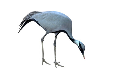 Domicile Crane with Copy Text Space. Heavy Lifting Equipment Element for Construction, Engineering,...