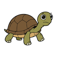vector illustration of a turtle