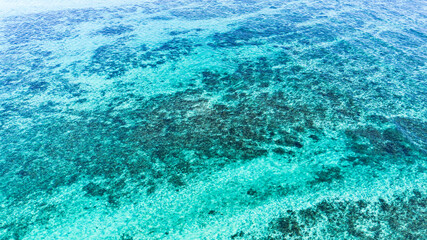 Ningaloo reef Western Australia 