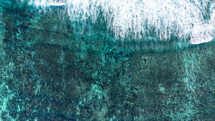 Ningaloo reef Western Australia 