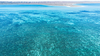 Ningaloo reef Western Australia 