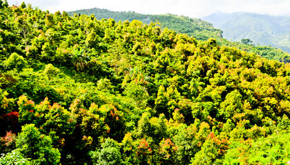 beautiful view of green mountain landscape with white clouds in the background