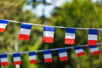 French flags outdoors: vibrant red, white, and blue banners in natural setting