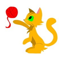 Orange tabby cat with a yarn