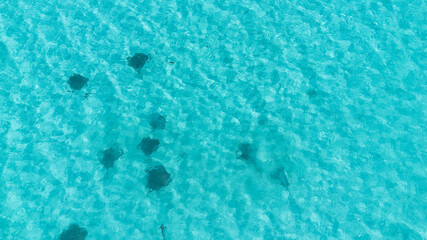 Ningaloo reef Western Australia 