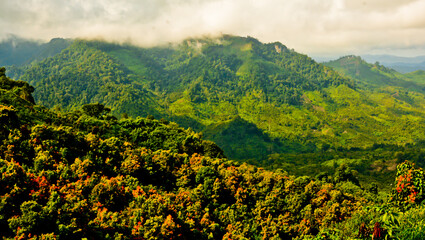 beautiful view of green mountain landscape with white clouds in the background