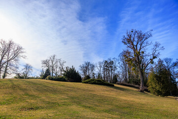Sunny winter landscape with rolling hills and bare trees under blue sky