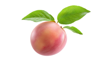 A peach with a leaf on top