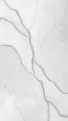 Abstract White Marble Texture for Interior Design and Surfaces