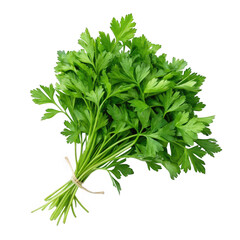 Fresh bunch of curly parsley tied with twine isolated on transparent background