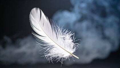 Obraz premium A single white feather resting in a haze of smoke—weightless presence, memory suspended in breath.