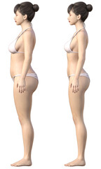 ダイエット ビフォーアフター 太った女性と痩せた女性の全身横向きの比較 3Dイラスト