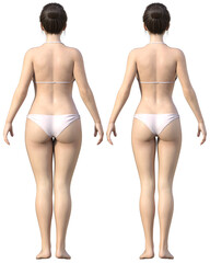 ダイエット ビフォーアフター 太った女性と痩せた女性の全身後ろ姿の比較 3Dイラスト