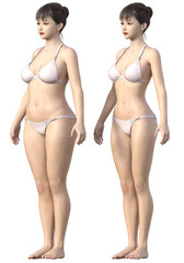 ダイエット ビフォーアフター 太った女性と痩せた女性の全身正面 斜め前向きの比較 3Dイラスト