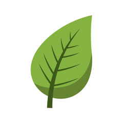 Isolated Fresh Green Leaf - Nature Icon Design