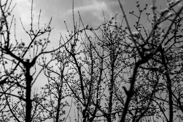 서울역 주변 소경