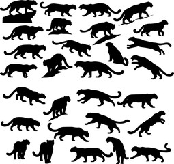 Collection of black silhouette illustrations depicting leopards in various poses, including standing, walking, jumping, and crouching.