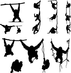 A collection of silhouette illustrations depicting orangutans climbing, hanging, and swinging from branches and vines in various poses. © Adji
