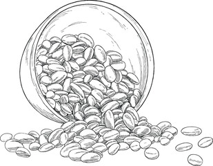 seed nut sketch hand drawing