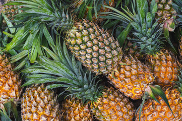 background with natural pineapples. Ripe tropical fruits on market counter