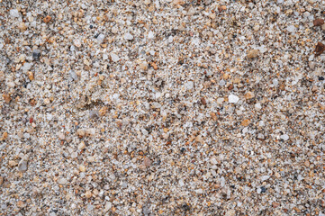 texture of sand on the beach close up. Background with a sandy pattern on beach by the sea