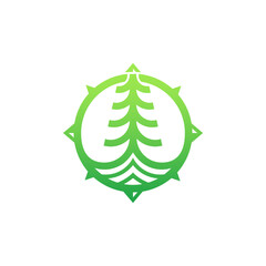 Abstract Green Compass Rose with Stylized Evergreen Tree