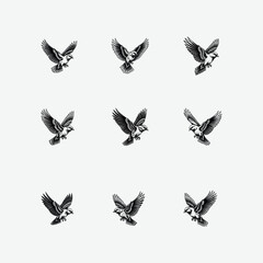 Elegant black and white bird in flight illustration. Bold lines, dynamic pose, perfect for logos, tattoos, prints, or graphic designs.