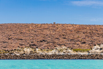 Isla Espiritu Santo Baja California Sur