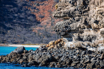 Isla Espiritu Santo Baja California Sur