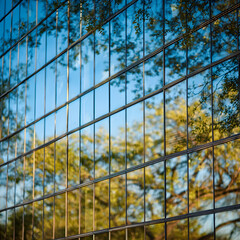 Glass Wall Detail of Corporate Office with Green Tint