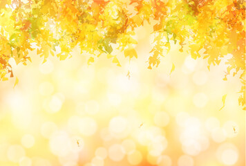 Fototapeta premium 紅葉 秋 葉 背景