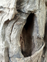 Old wooden floor details