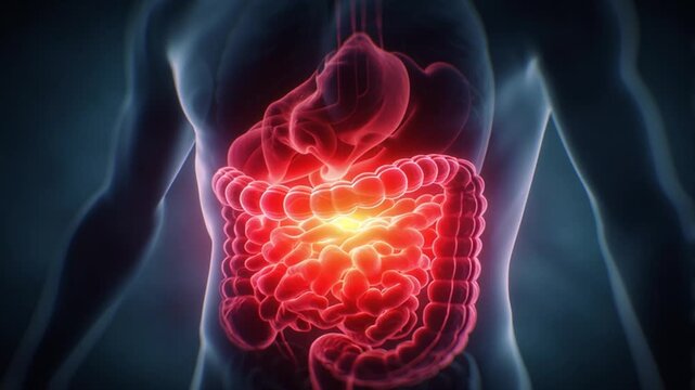 Stomach swelling and reflux disease shown with intense abdominal pain, gastroesophageal reflux effects, and digestive system problem symptoms captured in clinical 3D Rendering