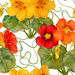Watercolor Nasturtium Floral Seamless Pattern Design that brings life to any space