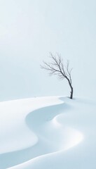 Fototapeta premium A curved branch stretching across a snow-covered white expanse, serene, minimalist, snow