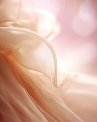 Delicate folds of sheer fabric in a soft peach hue.