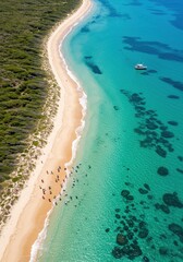 Aerial View of People Swimming at a Sandy Beach with Turquoise Water
