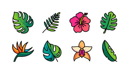 Assortment of tropical flora featuring hibiscus, monstera, and bird of paradise illustrations isolated