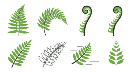 Fern Fronds: Botanical Vector Set for Design